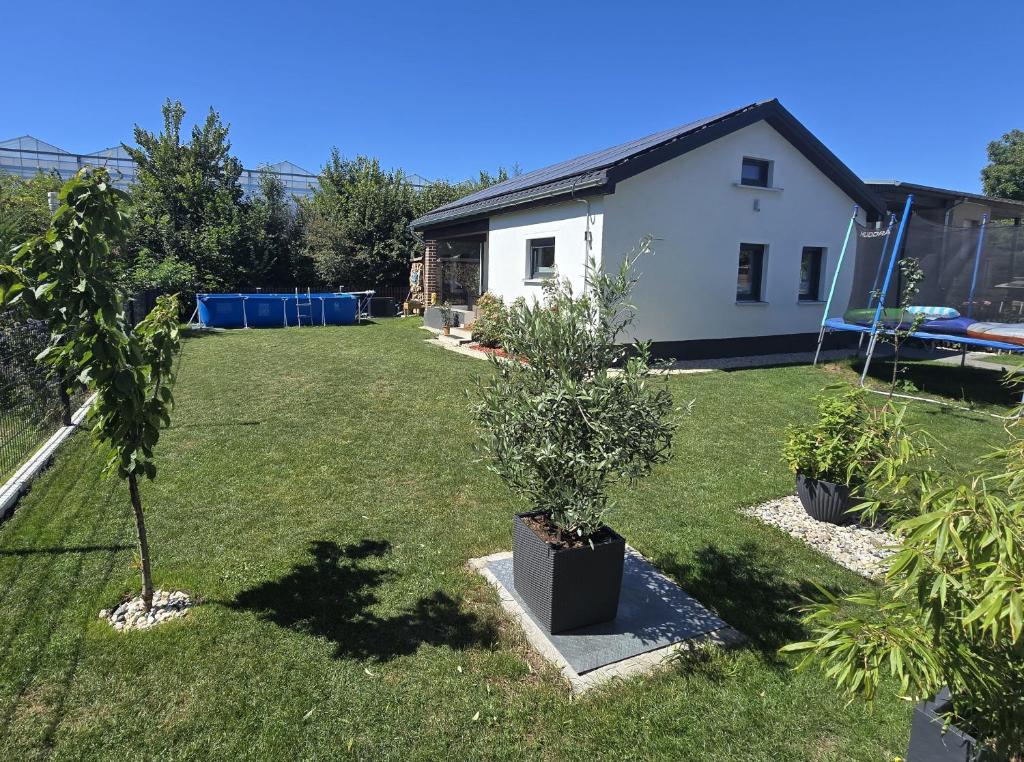 a yard with two trees and a house at Haus Dresden, Pool, Garten, Terrasse, familienfreundlich in Dresden