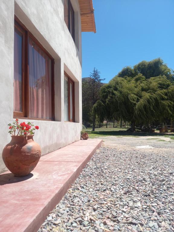 a vase with flowers sitting next to a building at Habitaciones en Complejo Turístico Cruz Mendoza in Tilcara