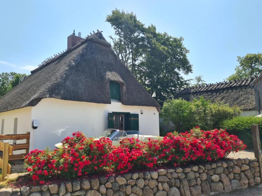 a thatched house with red flowers in front of it at Das Reethaus - Midgard in Tolk