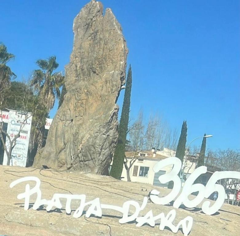 Fotografie z fotogalerie ubytování Bravamar Studio, Playa de Aro, Spain v destinaci Platja  d'Aro
