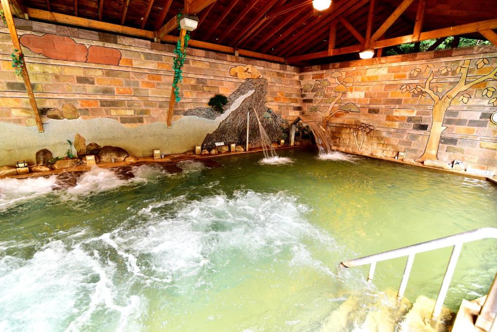 Fotografie z fotogalerie ubytování Jenq Yang Hotspring Hotel v destinaci Renai