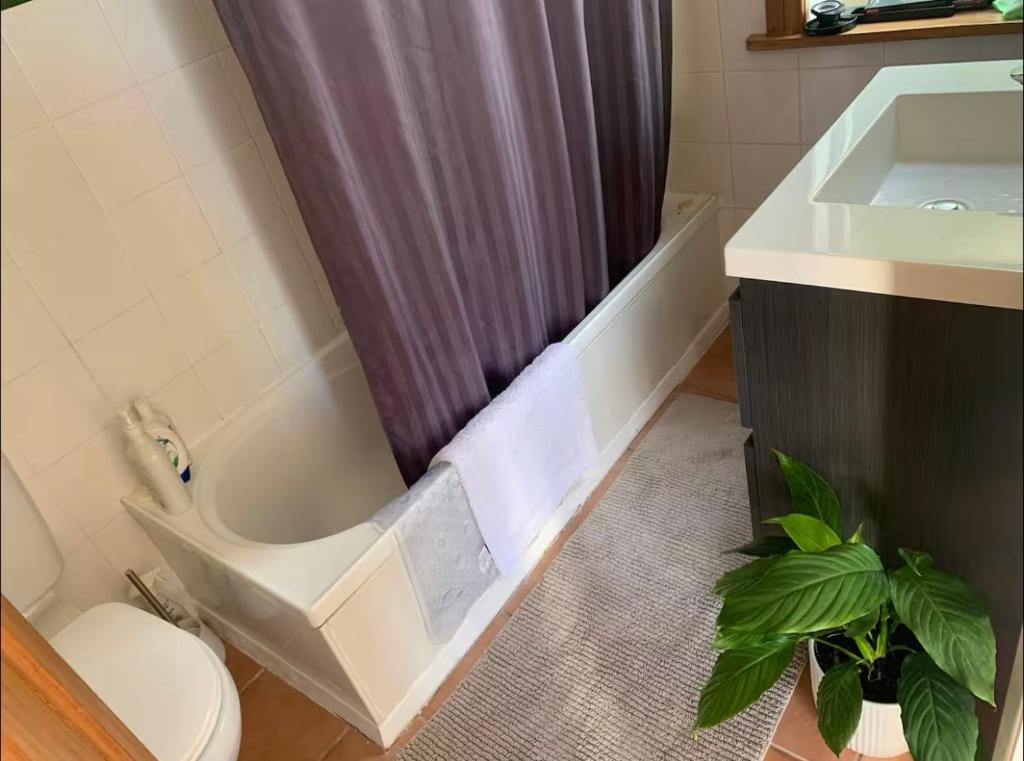 Seatoun Seaview - Resim 3