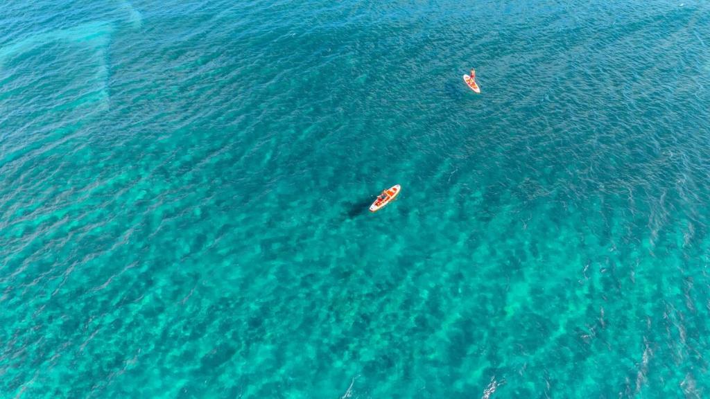 Tetamu yang menginap di Villa Katalpa, Le paradis les pieds dan l'eau