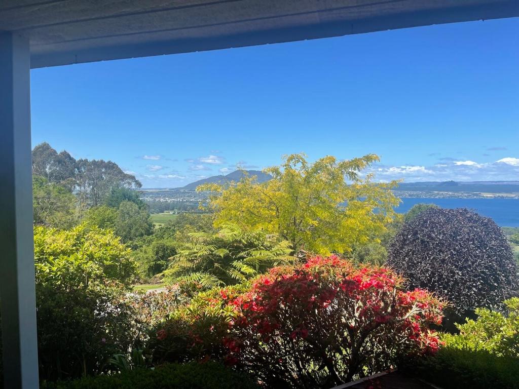 Breath Taking Views of Lake Taupo - Resim 17