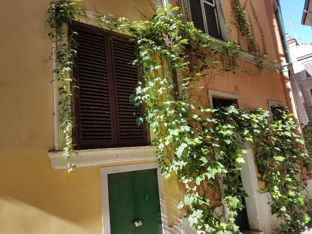 ローマにあるNavona's Flat Alleyの緑の扉と窓のある建物