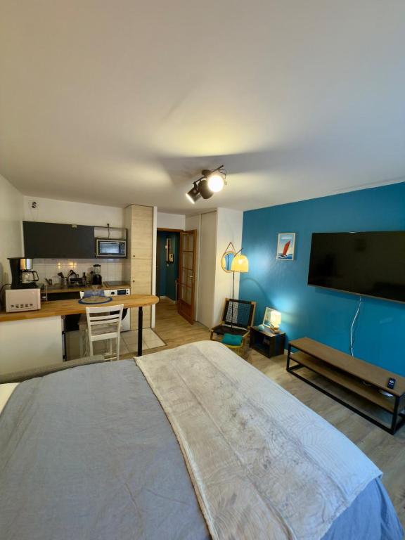 a living room with a large bed and a television at Studio Centre-ville de Vannes in Vannes