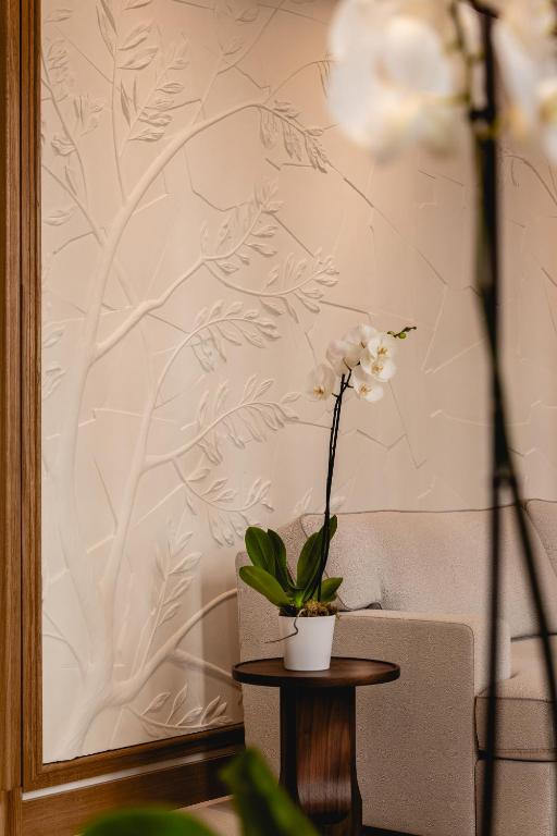 La Villa Madame - Resim 24