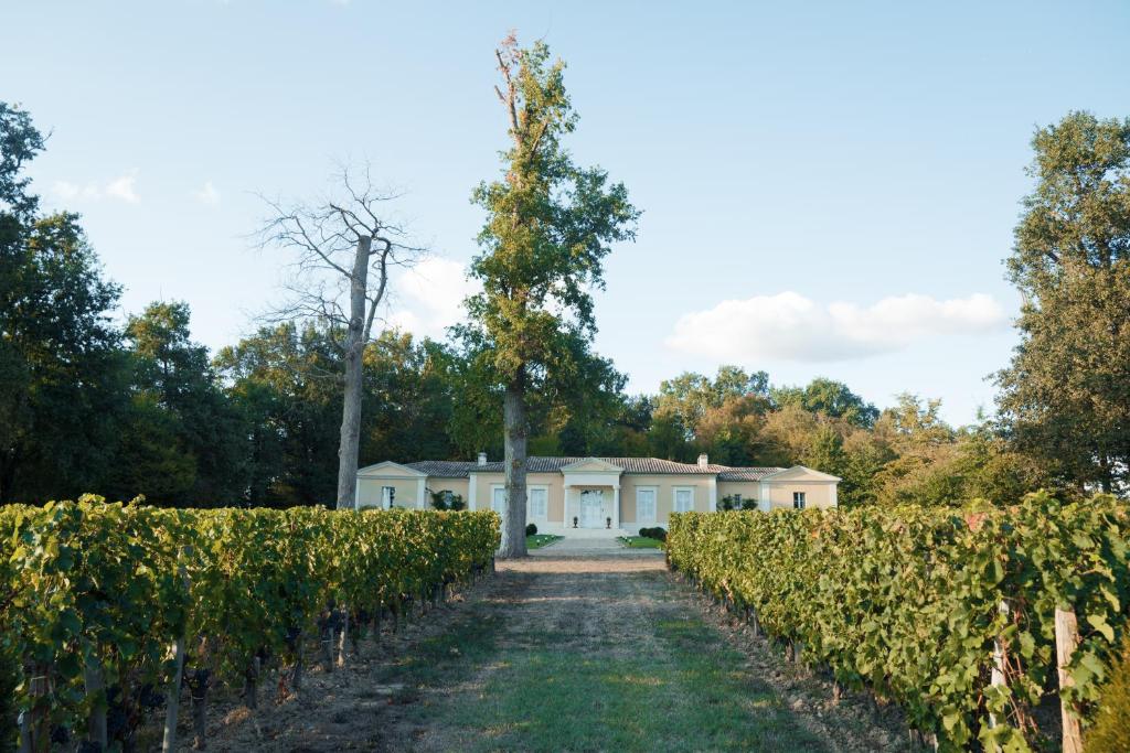 Κήπος έξω από το La Closerie des Vignes - Chatonnet Vineyards