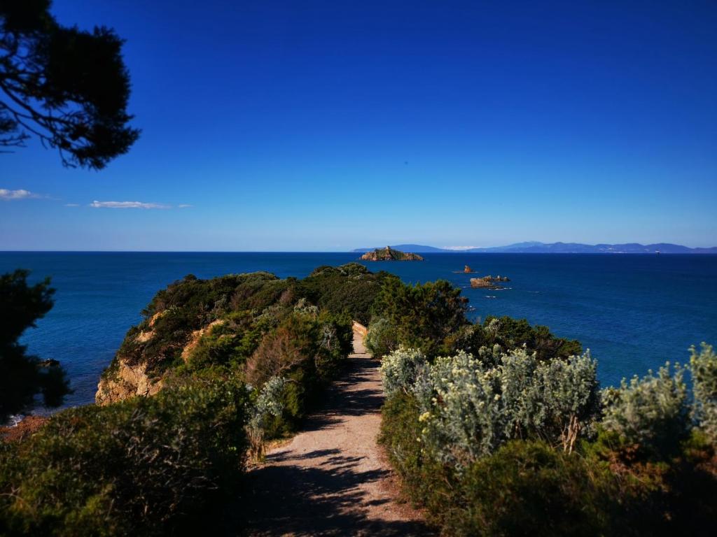 a path on a cliff near the ocean at Punta Ala - Monolocale Vista Mare 4 P - Bilocale 5 P - Monolocale 4 P in Punta Ala
