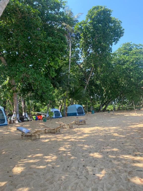 Domaine Bini plèlè