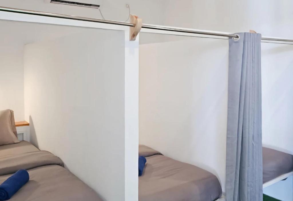 Tipsea Turtle Gili Air - 1