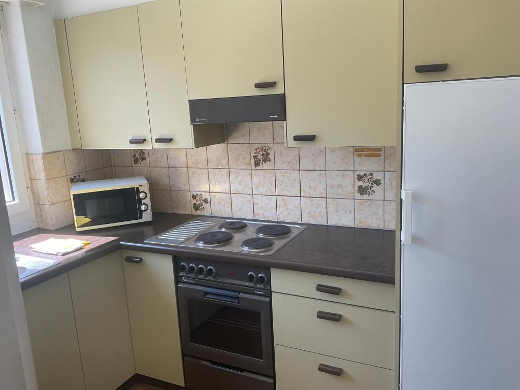 Ferienwohnung Zürich - Resim 30