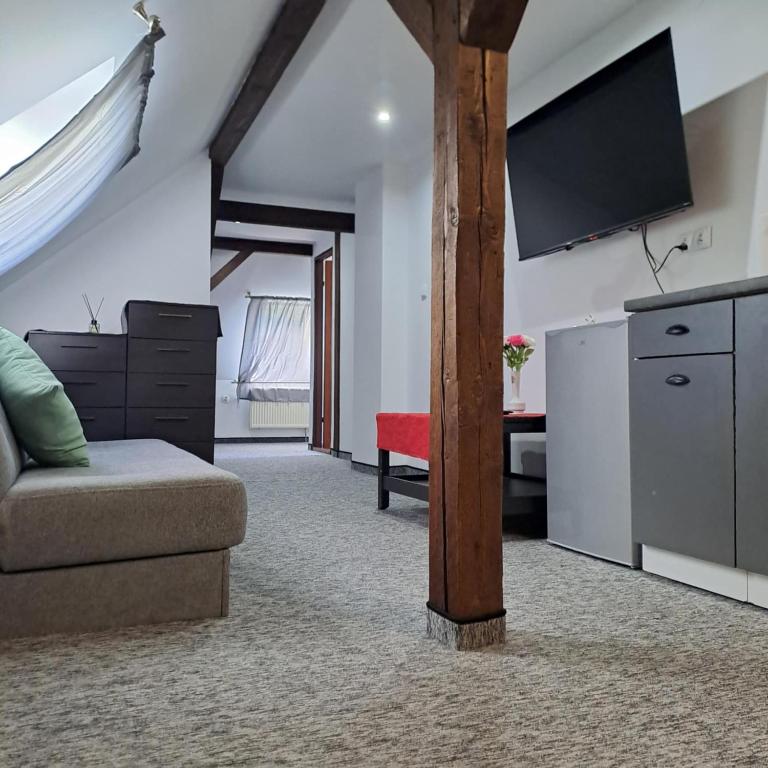 ein Wohnzimmer mit Couch und Flachbildfernseher in der Unterkunft Apartament nr 11 in Karpacz