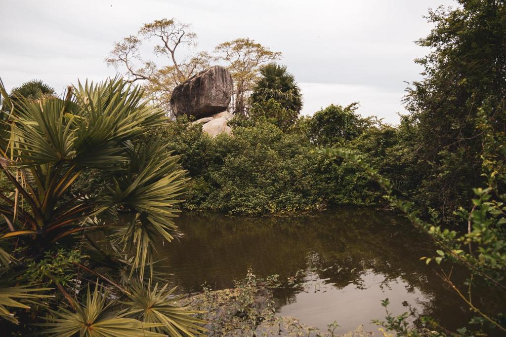 Příroda nedaleko bed and breakfast