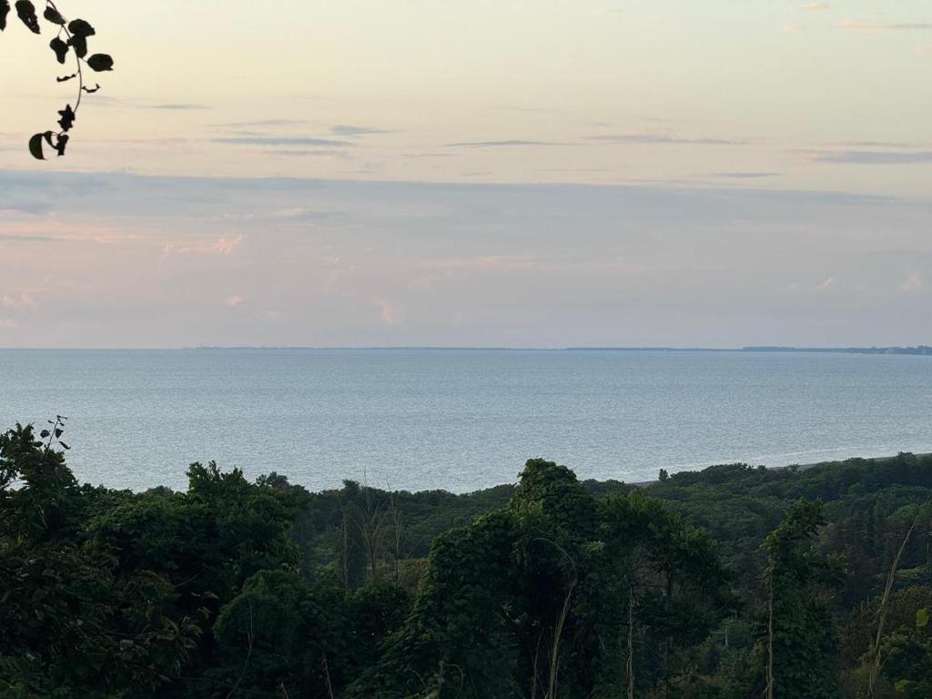 a view of the ocean from a hill with trees at Tsikhisdziri Home in Tsikhisdziri