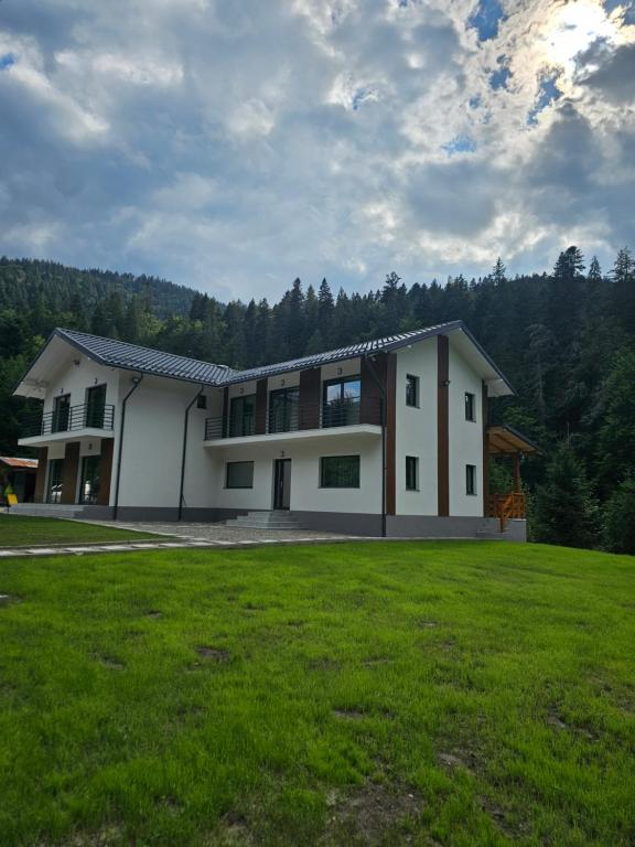 ein großes weißes Haus mit einem großen Grasfeld in der Unterkunft Vila veverita in Schitu-Tarcău