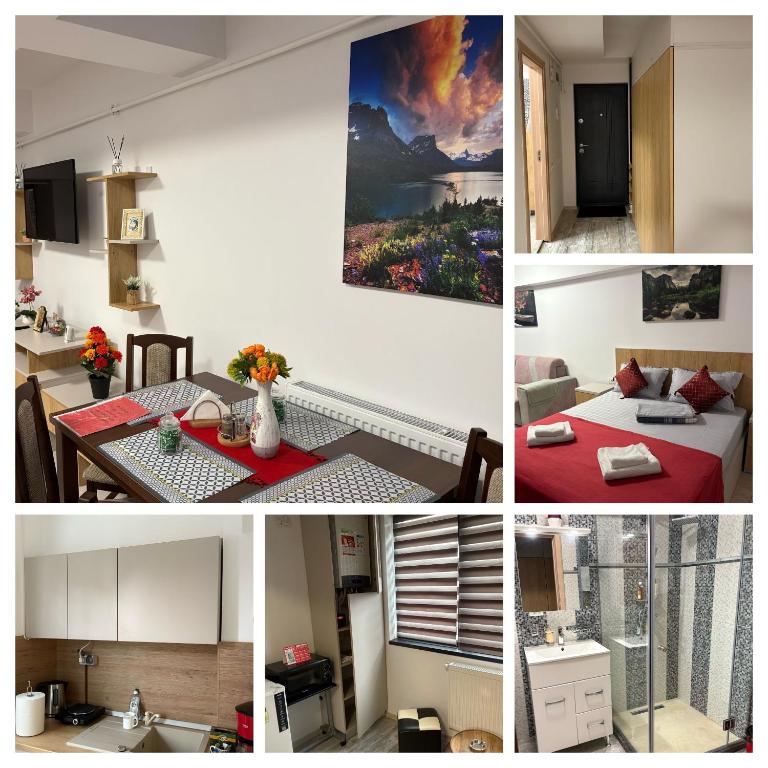 a collage of pictures of a kitchen and a living room at Studio Lavinia in Eforie Nord