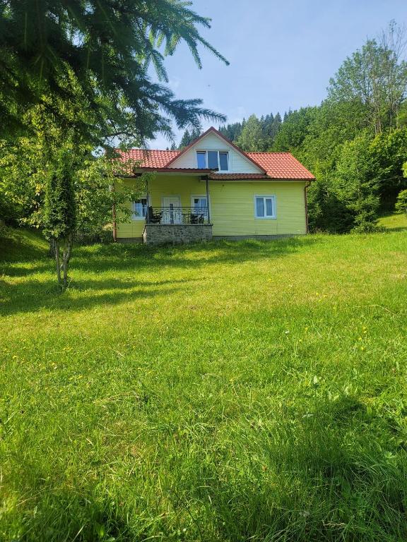 a yellow house in a field of green grass at Три смерічки in Beloberëzka