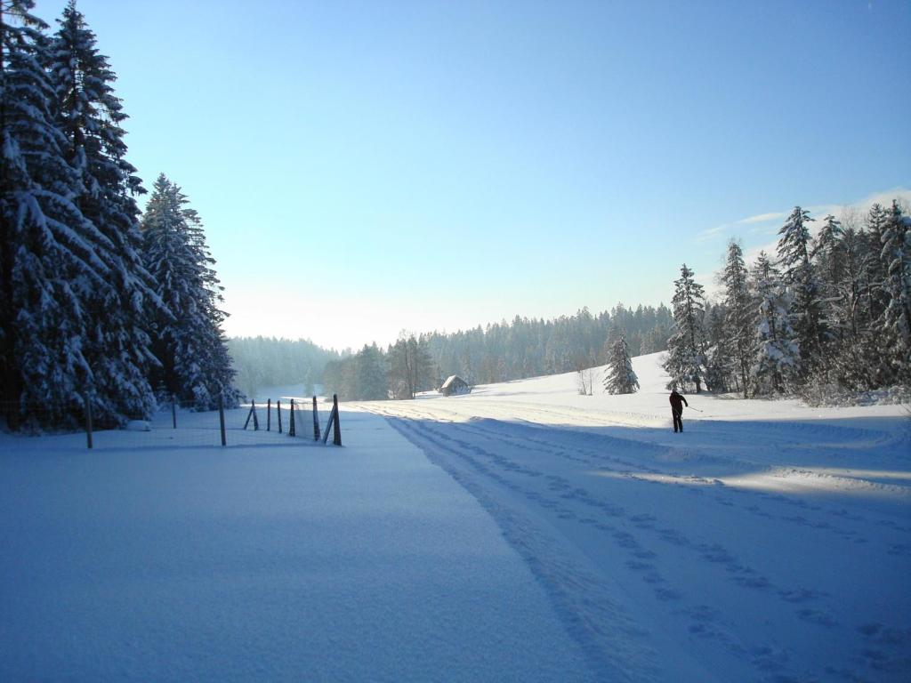 Haus Dreiländerblick v zimě