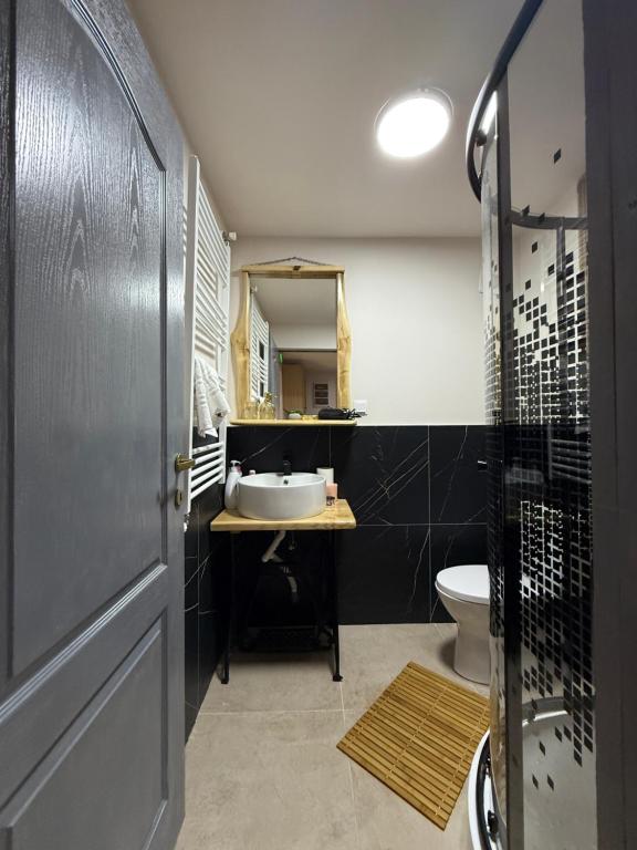 a bathroom with a sink and a toilet at Cabana Arini 1954 in Vişeu de Jos