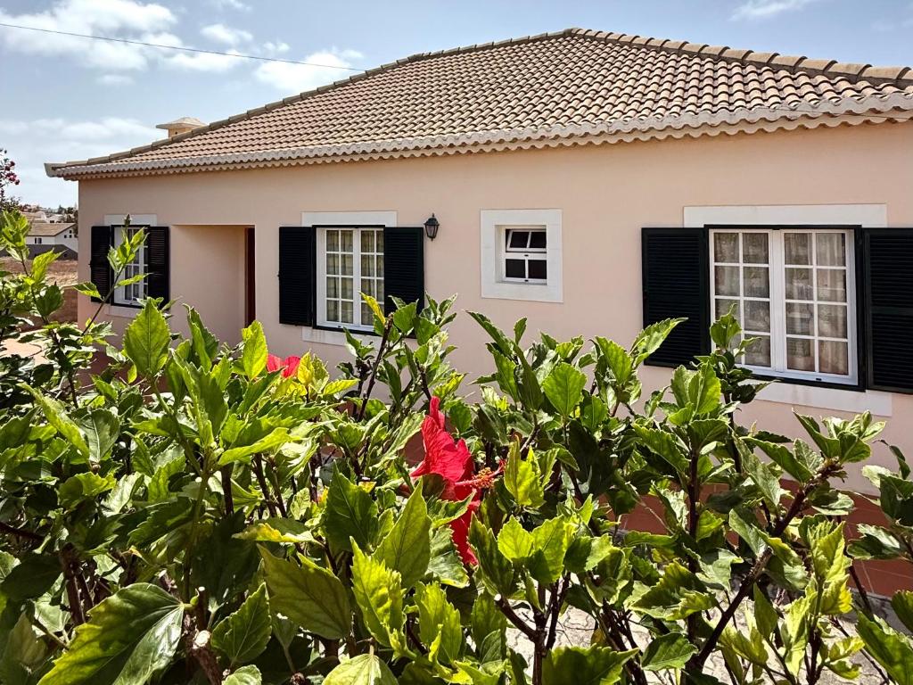 a house behind a bush with red flowers at Casa do Cisne in Porto Santo