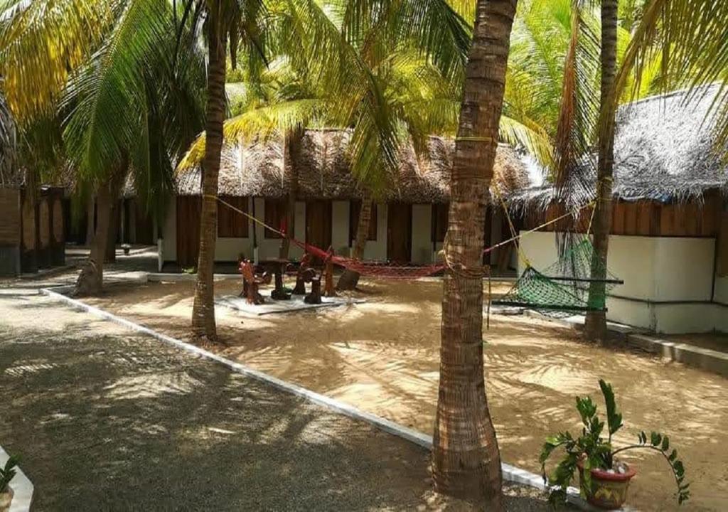 a courtyard with palm trees and a playground at Salty Mango Resort in Kalpitiya