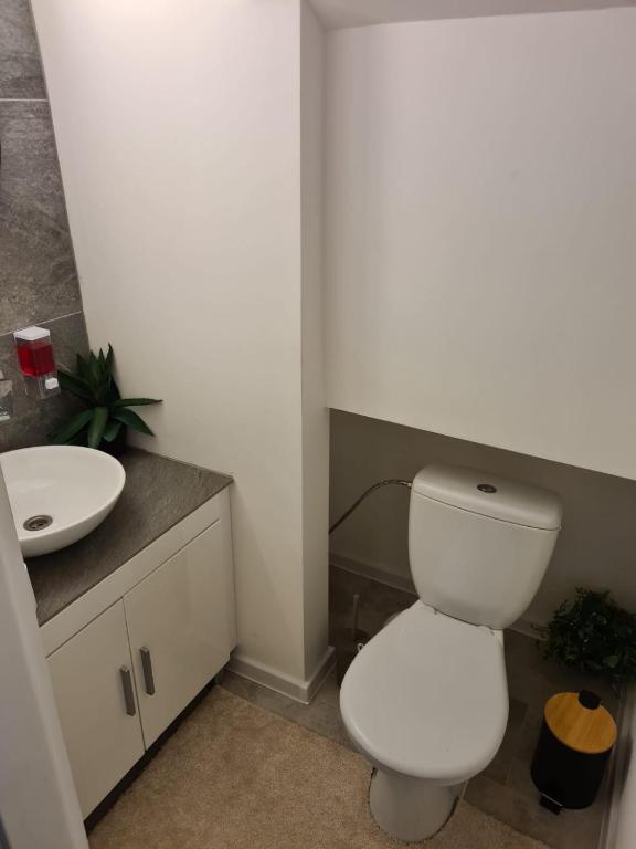 a bathroom with a white toilet and a sink at Apartmán Zobor in Nitra