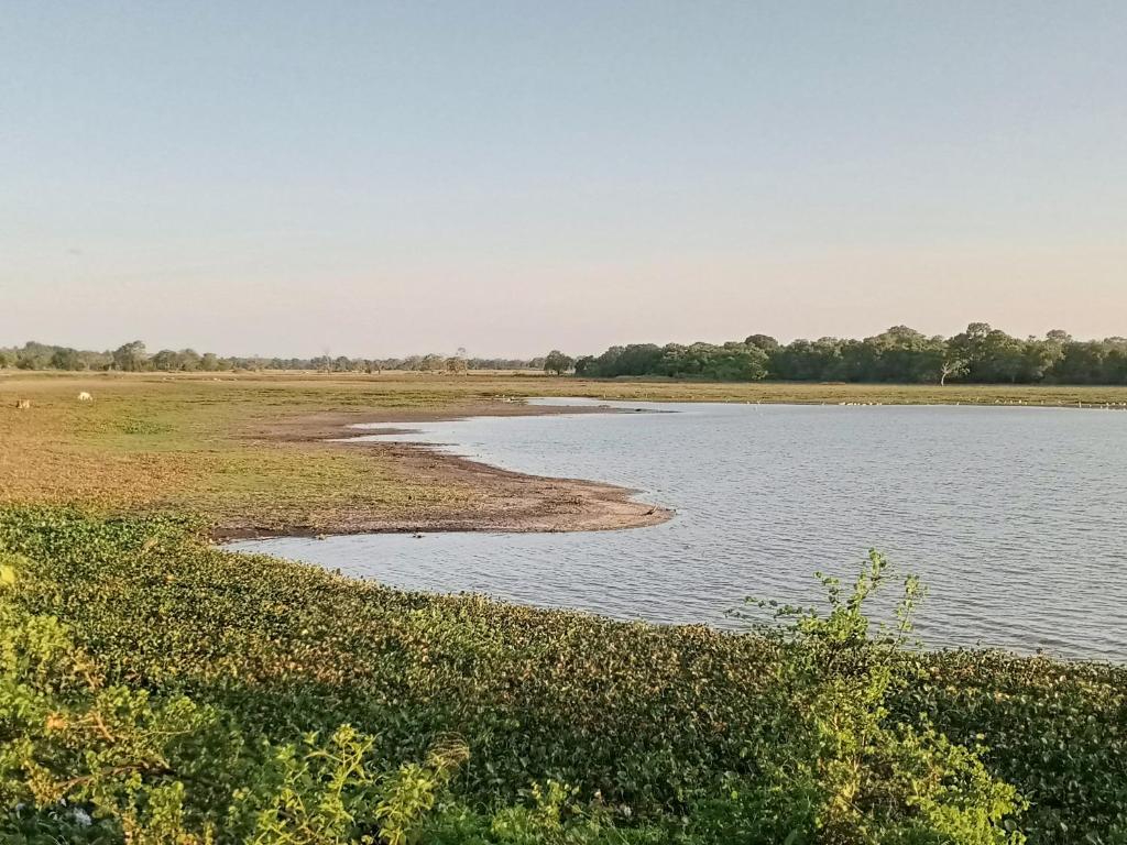 a large body of water with grass and trees at Village Garden Inn in Parasangahawewa