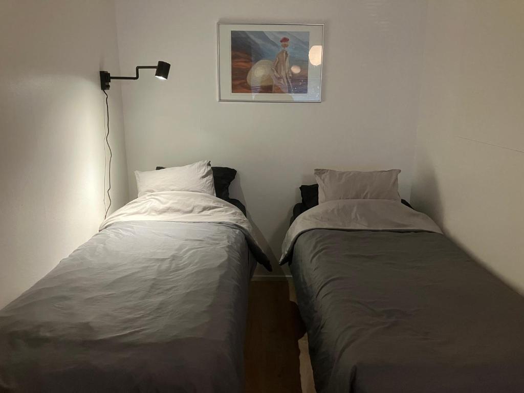 Dos camas una al lado de la otra en una habitación. en Yksiö Asemakadulla, en Lapua