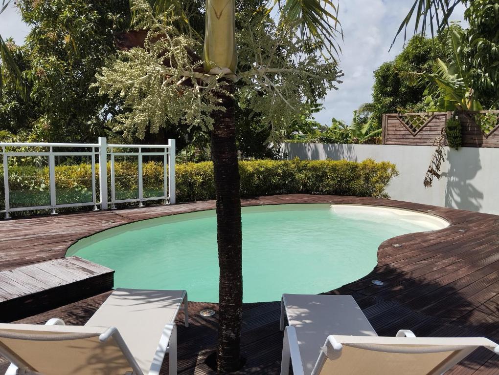 a small pool with two chairs and a palm tree at F2 pour une pause hors du temps in Ducos