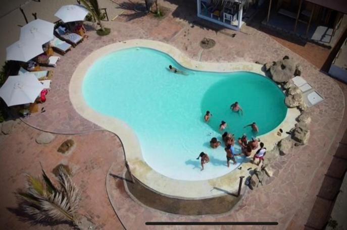 Waltako Beach Culture