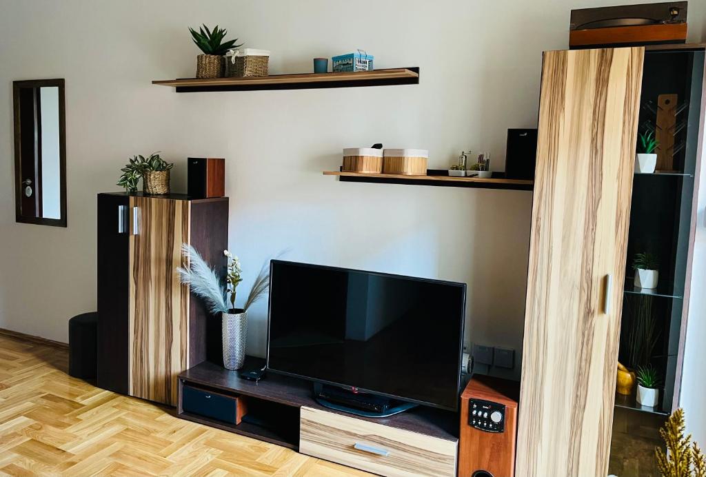 TV a/nebo společenská místnost v ubytování Fabian Apartmani