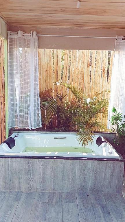 a bath tub in a room with a plant at Chalé na lata in Pirenópolis