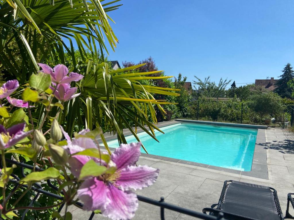 a swimming pool with purple flowers in front of it at Villa "La Tourelle" avec piscine privée in Haguenau