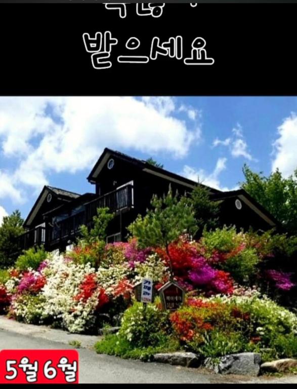 a building with a bunch of flowers in front of it at Gilson Story Pension in Pyeongchang