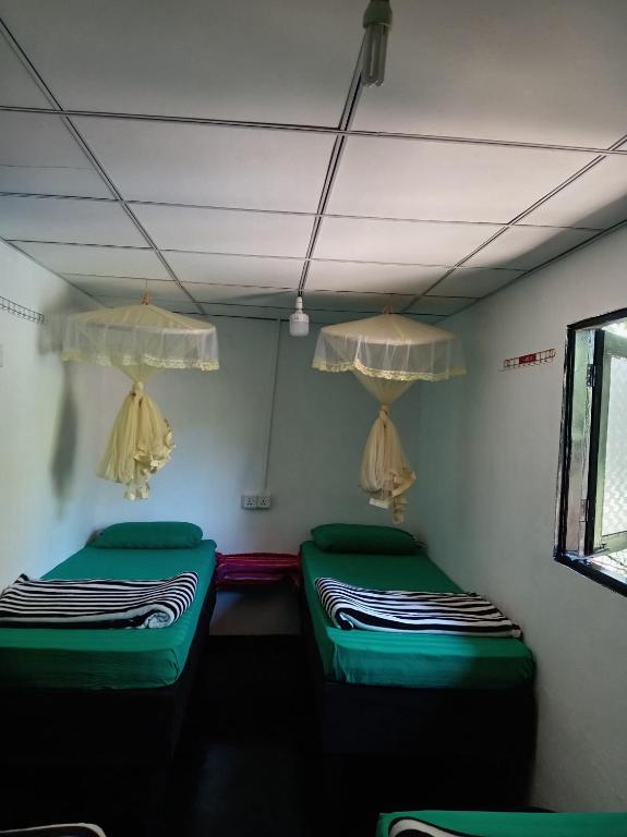 Cozy House Hostel - 8