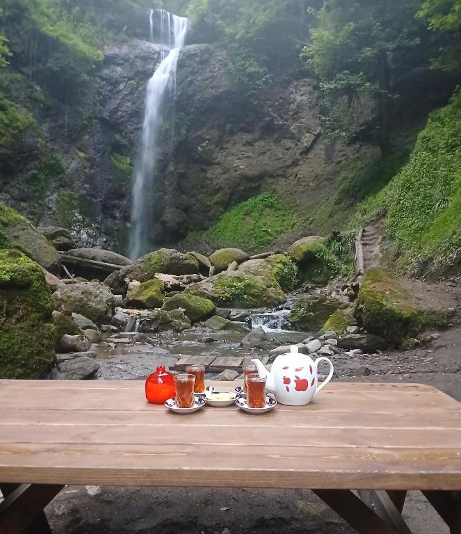 Daily guest house Sim