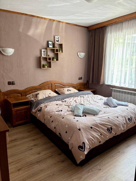 a bedroom with a bed and a window at Apartment Hristina in Dobrinishte