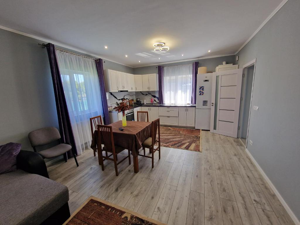 Kuchyň nebo kuchyňský kout v ubytování Casa Transilvania Tea