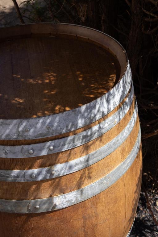 Au vignoble 94 – photo 36