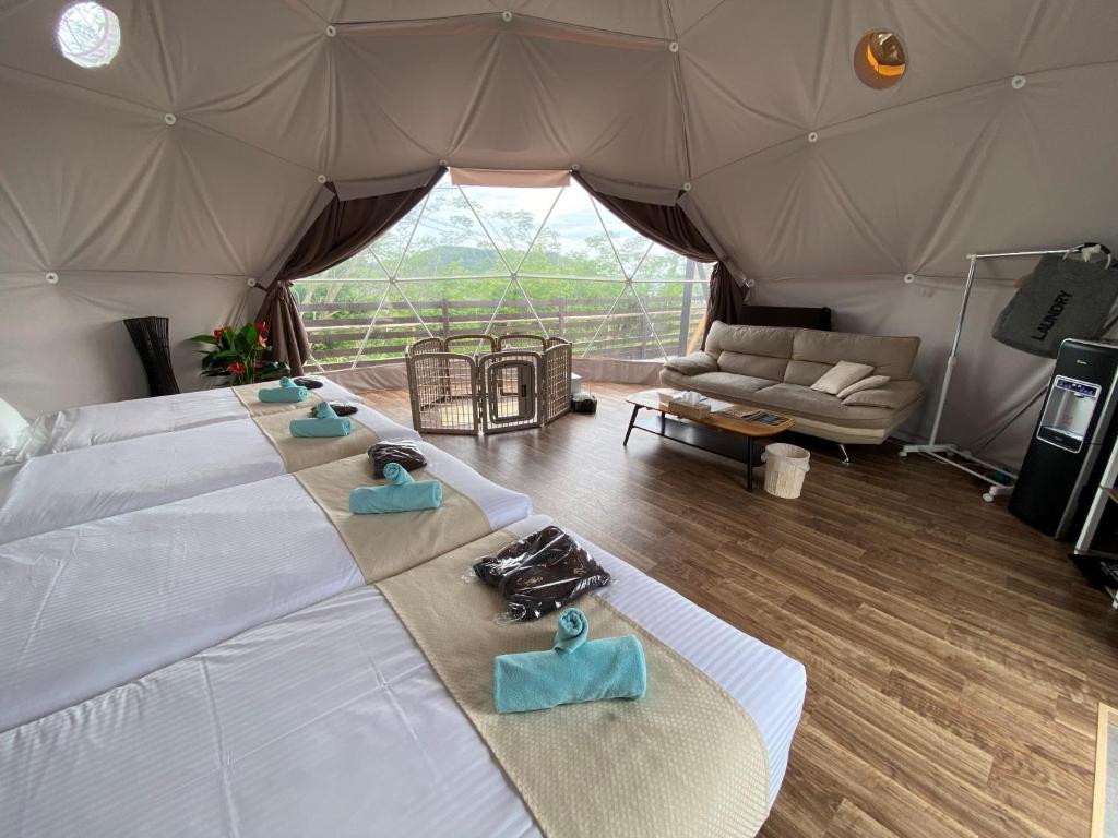 Blissful Garden - Vacation STAY 46374v - Carpa