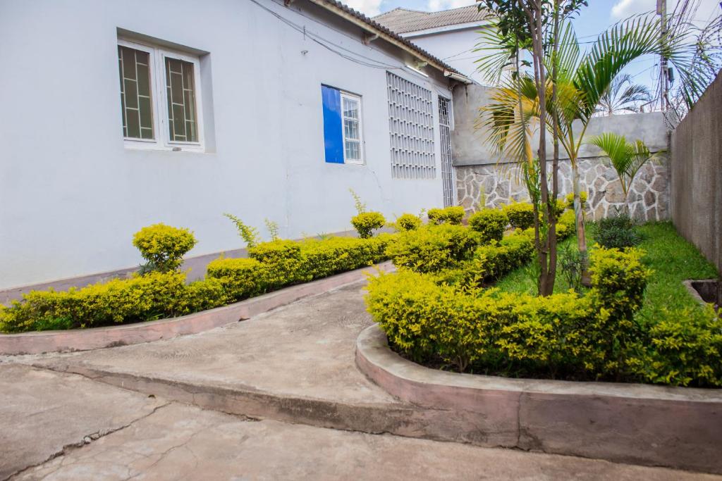a white house with bushes and a palm tree at Casa de férias de Jamal em Chimoio in Chimoio