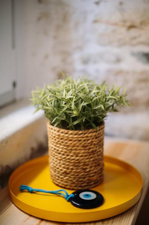 Spianada Studios by Konnect, Old Corfu Town - 12