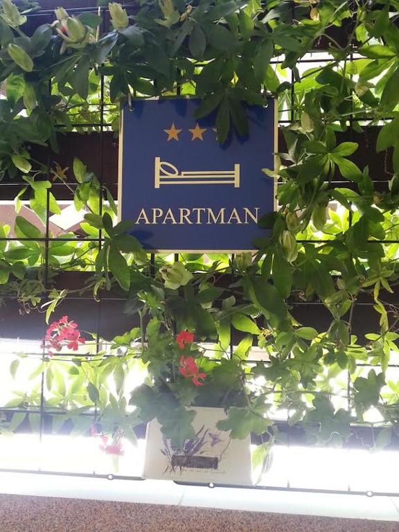 Certifikát, ocenenie alebo iný dokument vystavený v ubytovaní Apartment Perunika