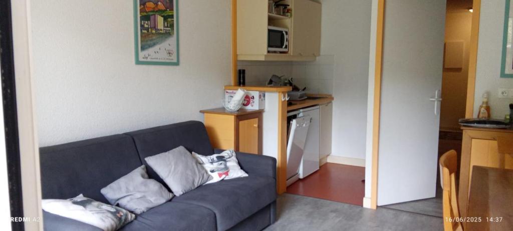 Η κουζίνα ή μικρή κουζίνα στο Charmant Studio à Font-Romeu, centre-ville