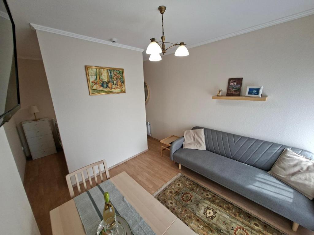 Χώρος καθιστικού στο Apartman Termál