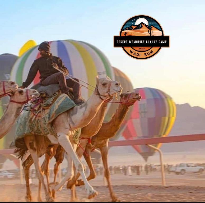 Επισκέπτες που μένουν στο Rum Visa Desert Luxury Camp