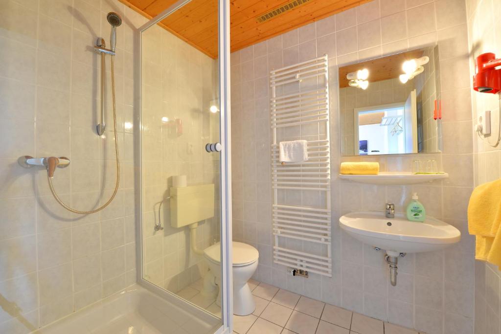 Hotel Garni Pension Gambrinus - 1