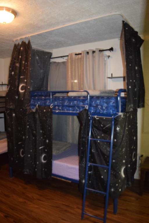 a blue bunk bed with a ladder in a room at Drip Star Life Hostel Miami 3 in Parkway Regional Medical Center Heliport