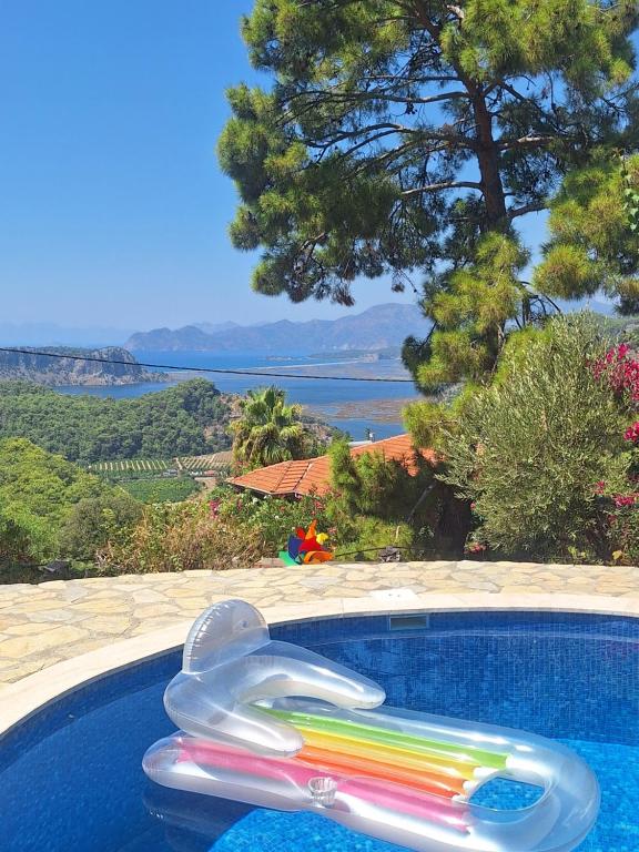 a swimming pool with a colorful frisbee in it at villa Loya in Ortaca